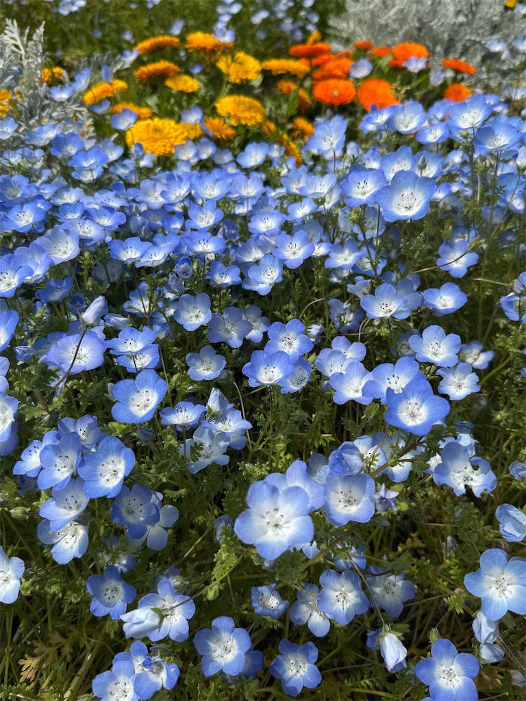 f:id:hiroyuta32:20260421091548j:image