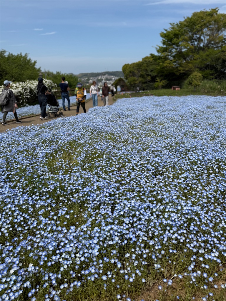 f:id:hiroyuta32:20260421091552j:image