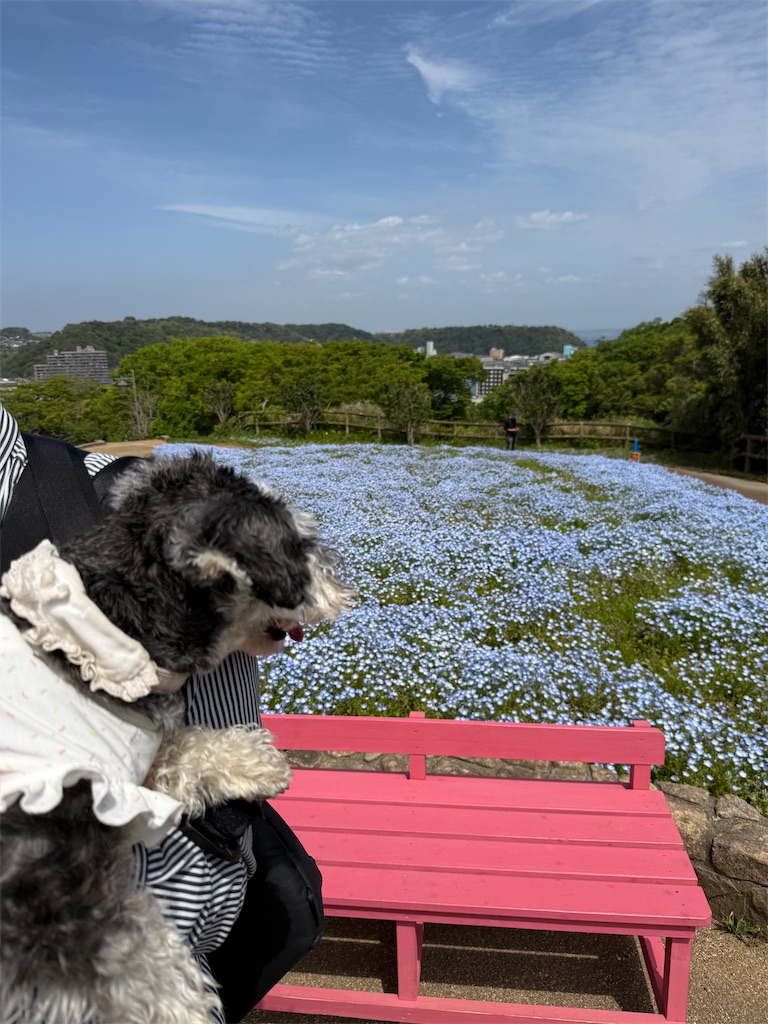 f:id:hiroyuta32:20260421091635j:image