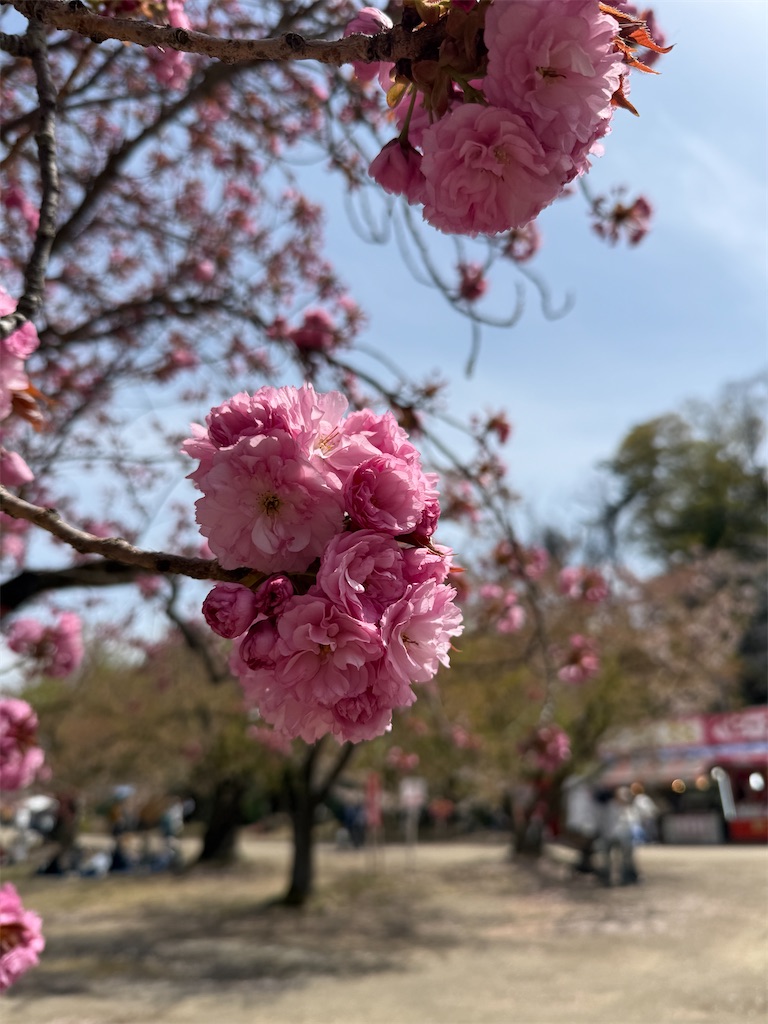 f:id:hiroyuta32:20260427114035j:image