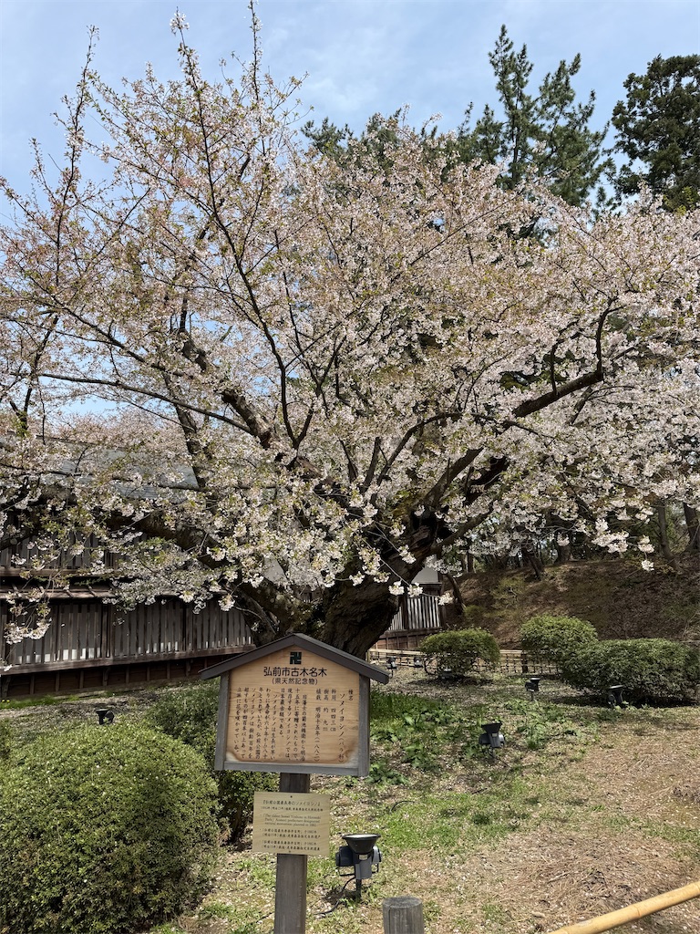 f:id:hiroyuta32:20260427114150j:image