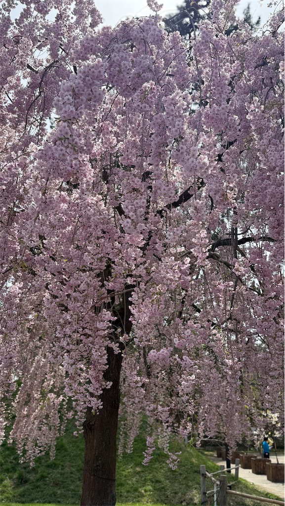 f:id:hiroyuta32:20260427114221j:image