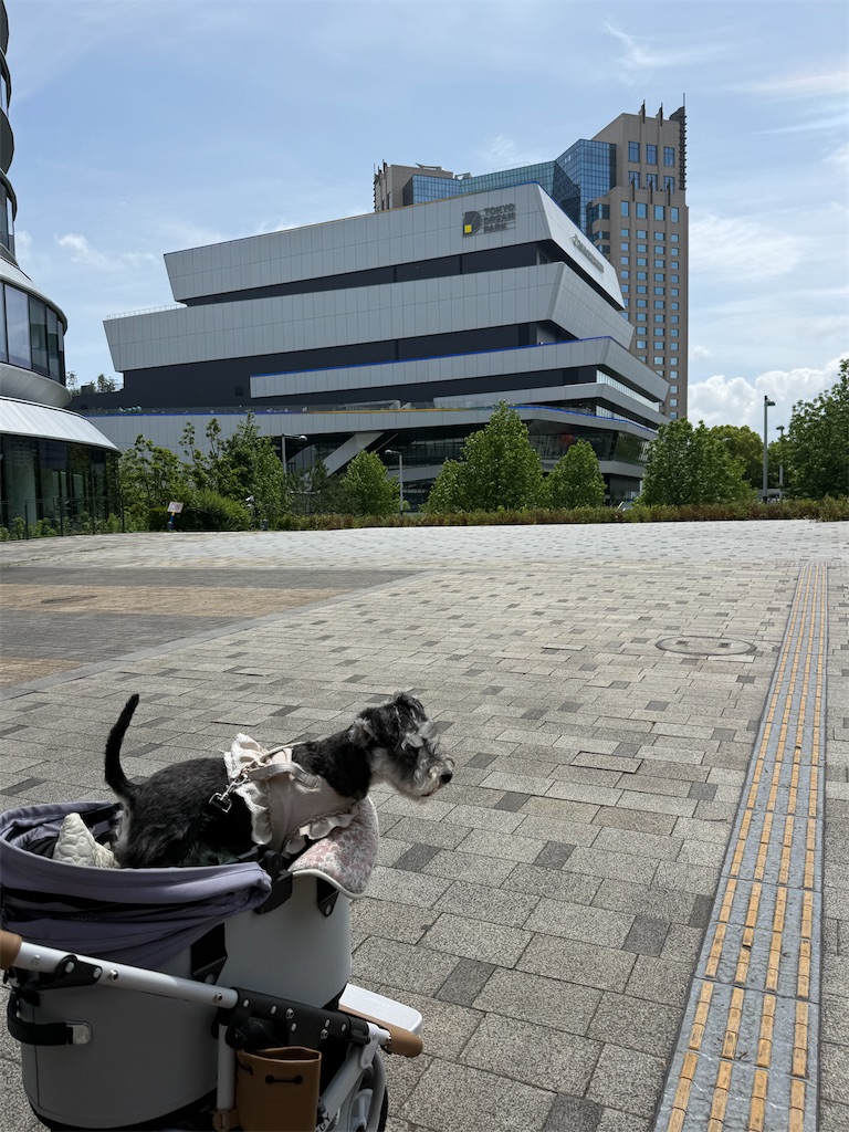 f:id:hiroyuta32:20260608103724j:image