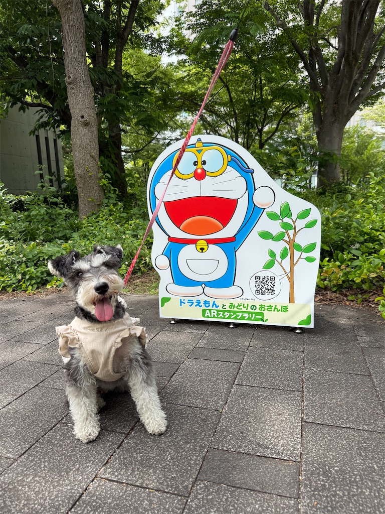 f:id:hiroyuta32:20260608103755j:image