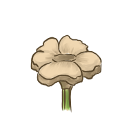 f:id:hirozacchi:20190729233927p:plain f:id:hirozacchi:20190729233927p:plain