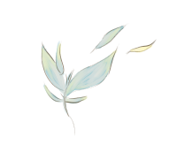 f:id:hirozacchi:20190729234038p:plain f:id:hirozacchi:20190729234038p:plain