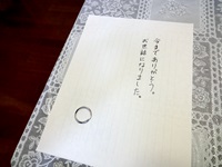 f:id:hirume:20161014144455j:plain:left f:id:hirume:20161014144455j:plain:left