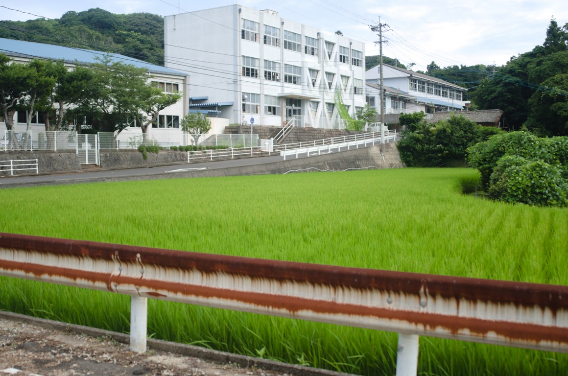 kuroshima_center