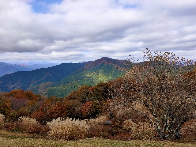 f:id:hirumeri:20201113090256j:image