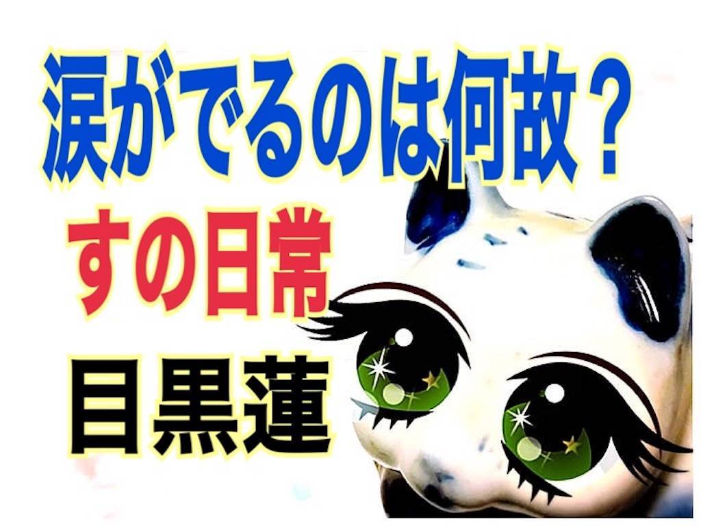 ラブリー目黒 蓮 壁紙 最高の花の画像