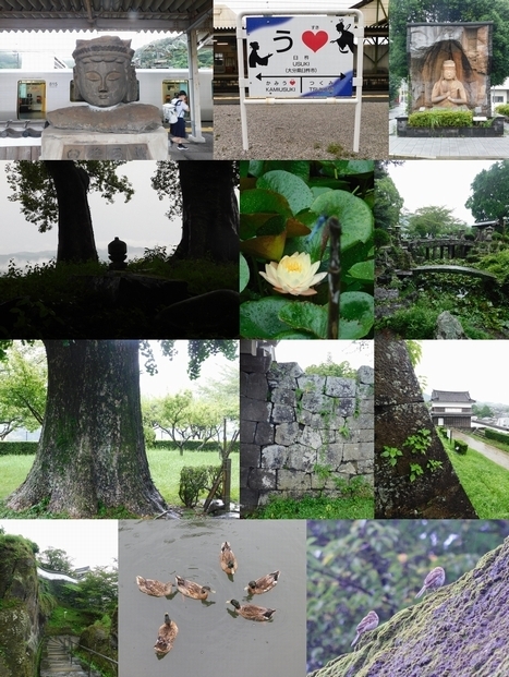 f:id:hirunesai:20210821234324j:plain