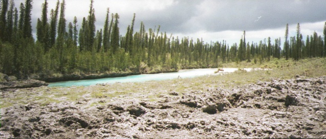 f:id:hiruta:20170116184818j:plain