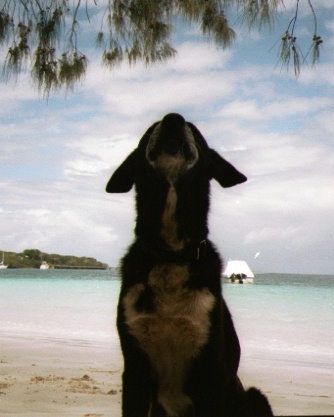 f:id:hiruta:20170117203512j:plain