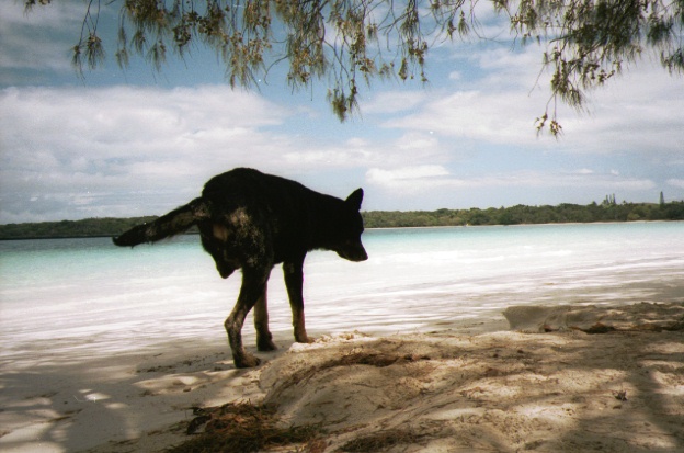 f:id:hiruta:20170117203554j:plain