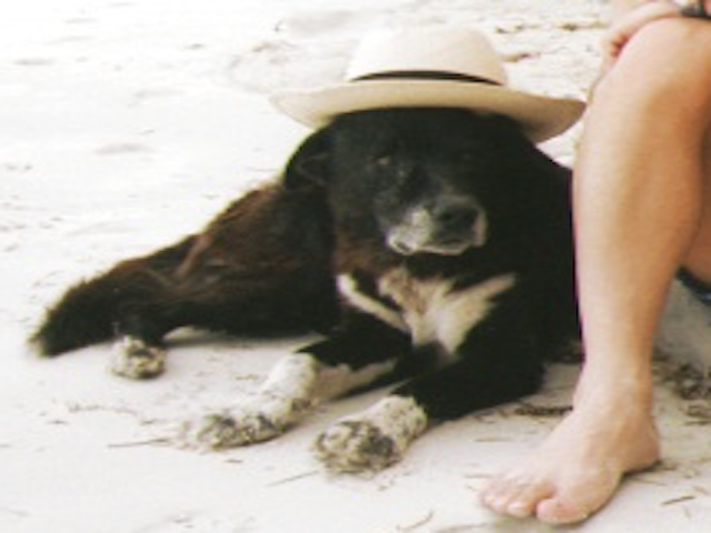 f:id:hiruta:20170117205116p:plain