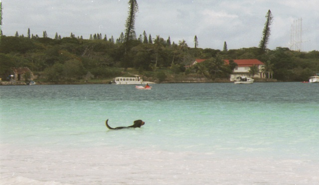 f:id:hiruta:20170117205309j:plain