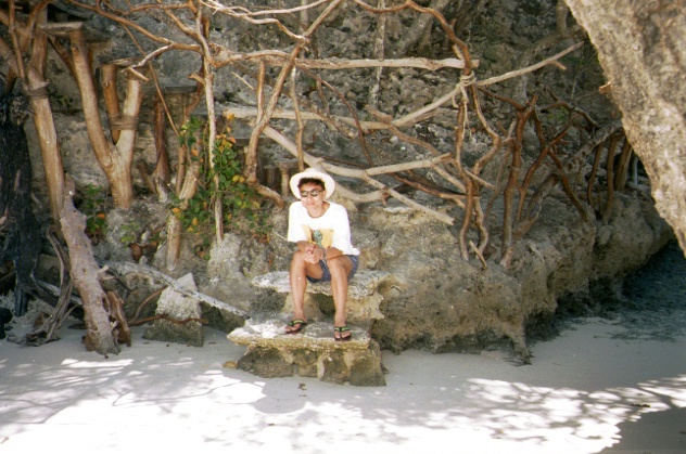 f:id:hiruta:20170122105924j:plain