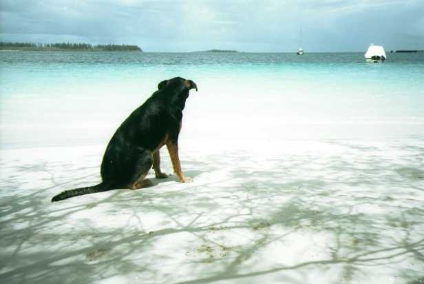 f:id:hiruta:20170122113300j:plain