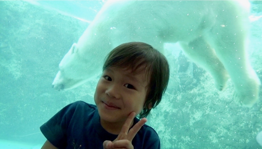 f:id:hiruta:20170807141951j:plain