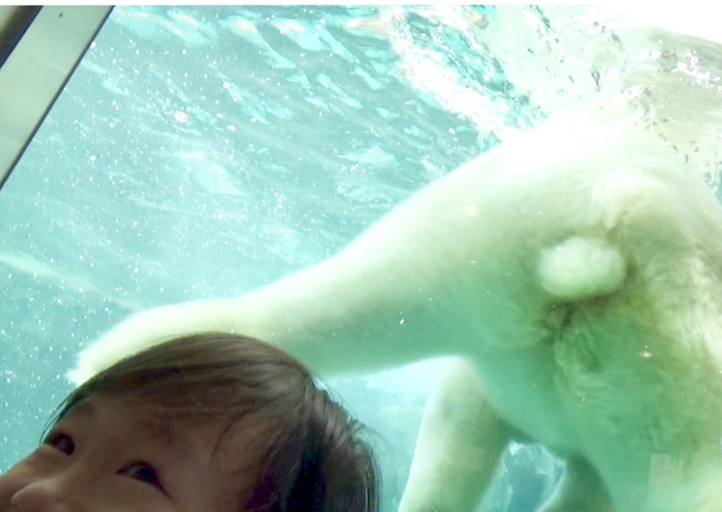 f:id:hiruta:20170807142253j:plain