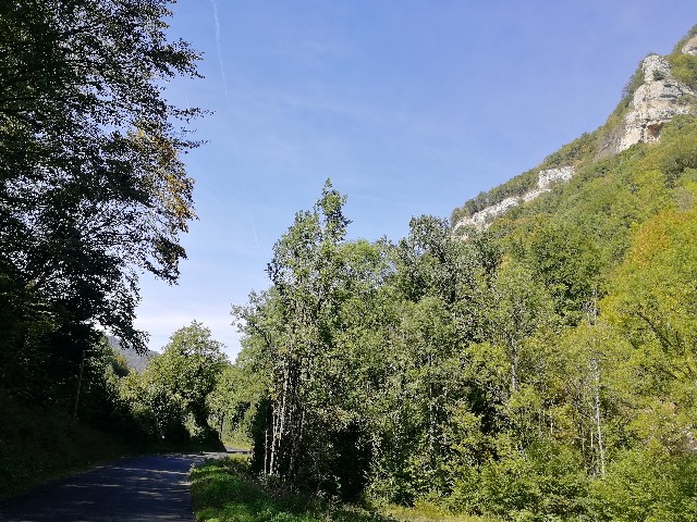 f:id:hiryubmc02:20190919185624j:image f:id:hiryubmc02:20190919185624j:image