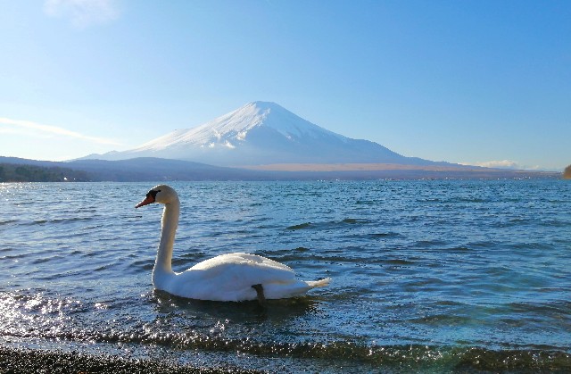 f:id:hiryubmc02:20200111204125j:image f:id:hiryubmc02:20200111204125j:image