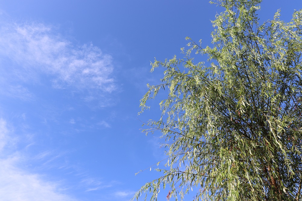 f:id:hisa-sea:20180801214751j:plain f:id:hisa-sea:20180801214751j:plain