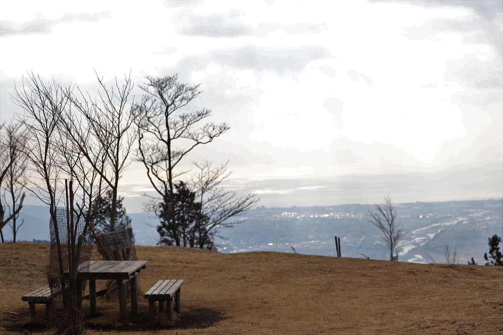 f:id:hisa-sea:20190407204521j:plain