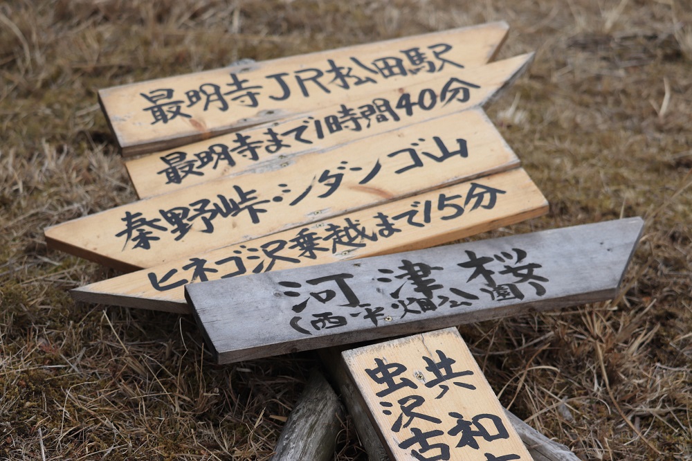 f:id:hisa-sea:20190407204558j:plain