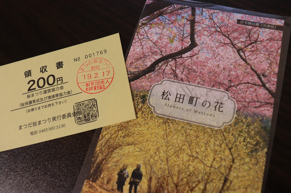 f:id:hisa-sea:20190407210652j:plain