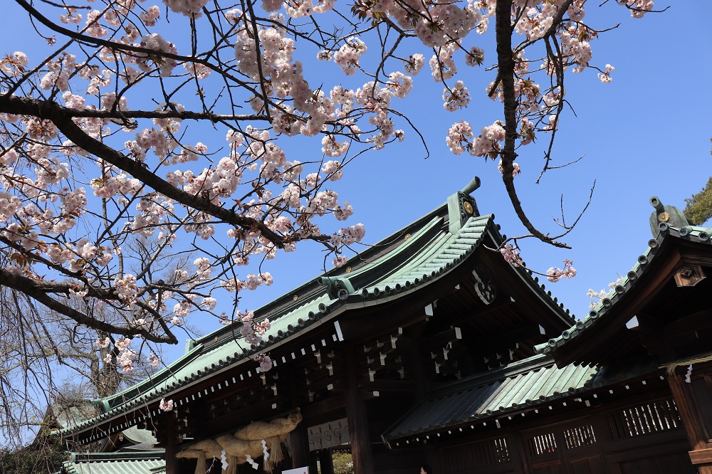 f:id:hisa-sea:20190408213414j:plain