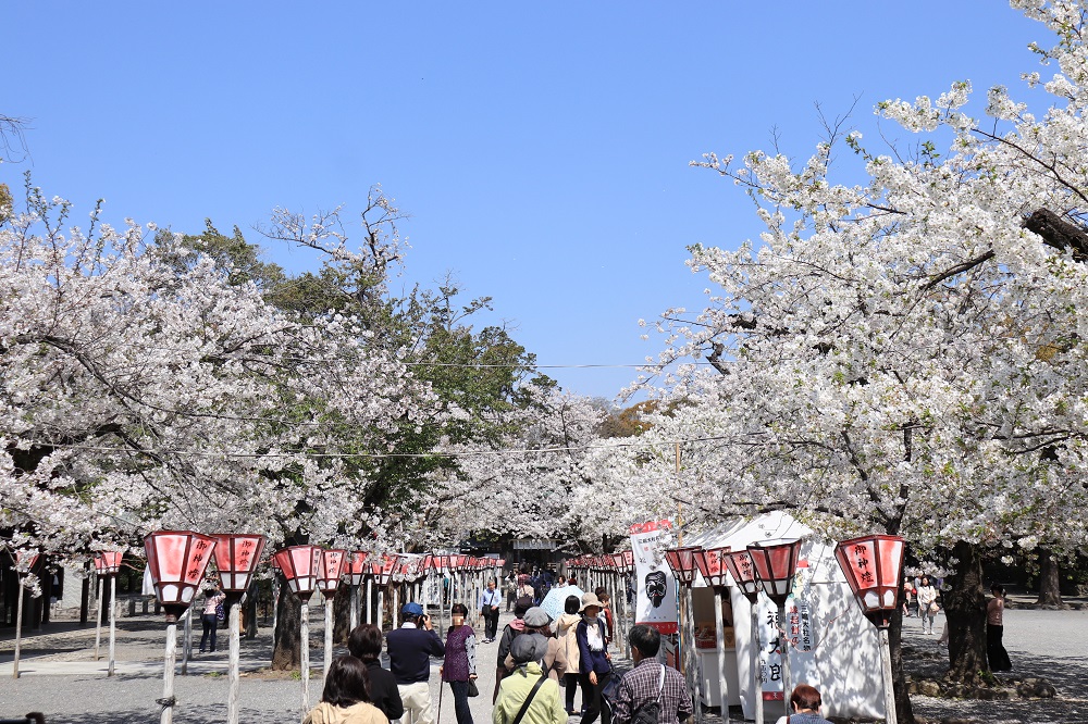 f:id:hisa-sea:20190408213836j:plain