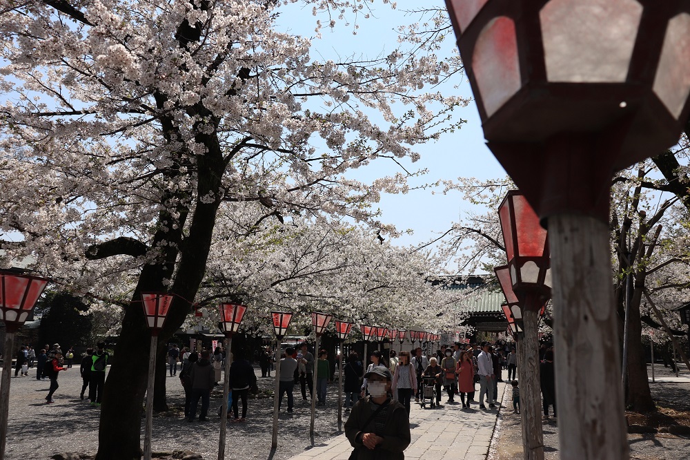 f:id:hisa-sea:20190408214116j:plain