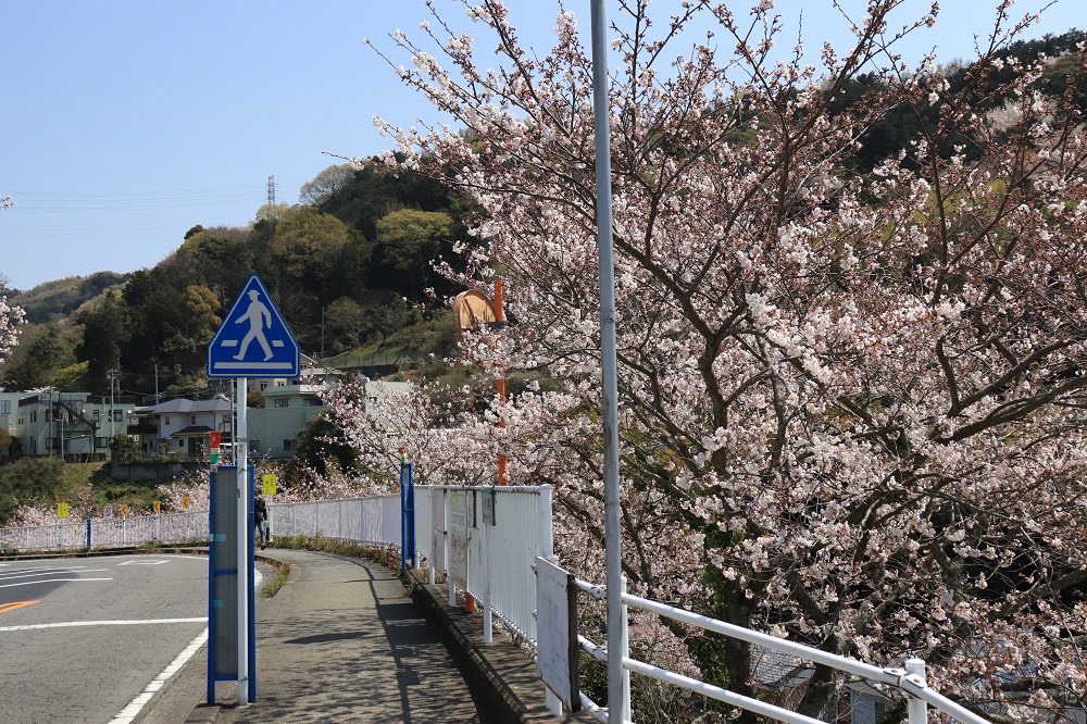 f:id:hisa-sea:20190408214437j:plain