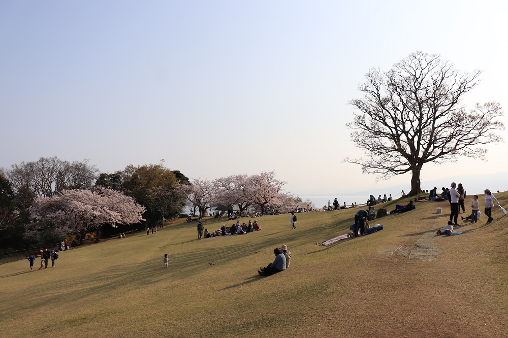 f:id:hisa-sea:20190421220342j:plain