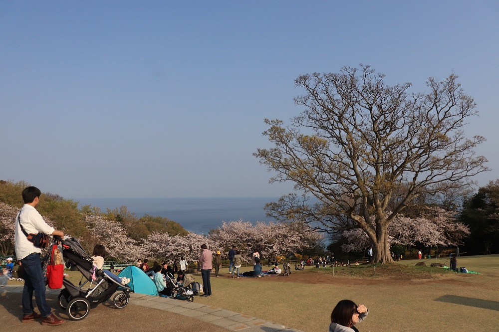 f:id:hisa-sea:20190421220912j:plain