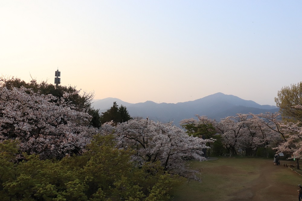 f:id:hisa-sea:20190428224404j:plain