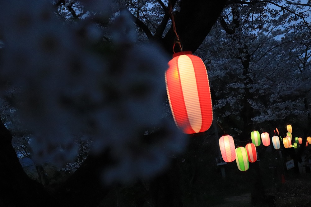 f:id:hisa-sea:20190428224948j:plain