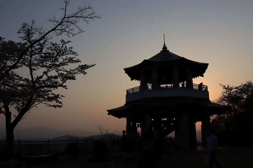 f:id:hisa-sea:20190428225424j:plain