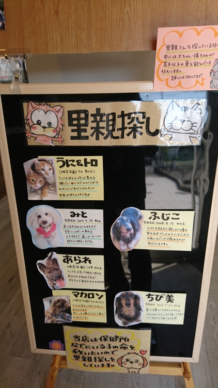f:id:hisa0621:20170428145546j:image f:id:hisa0621:20170428145546j:image