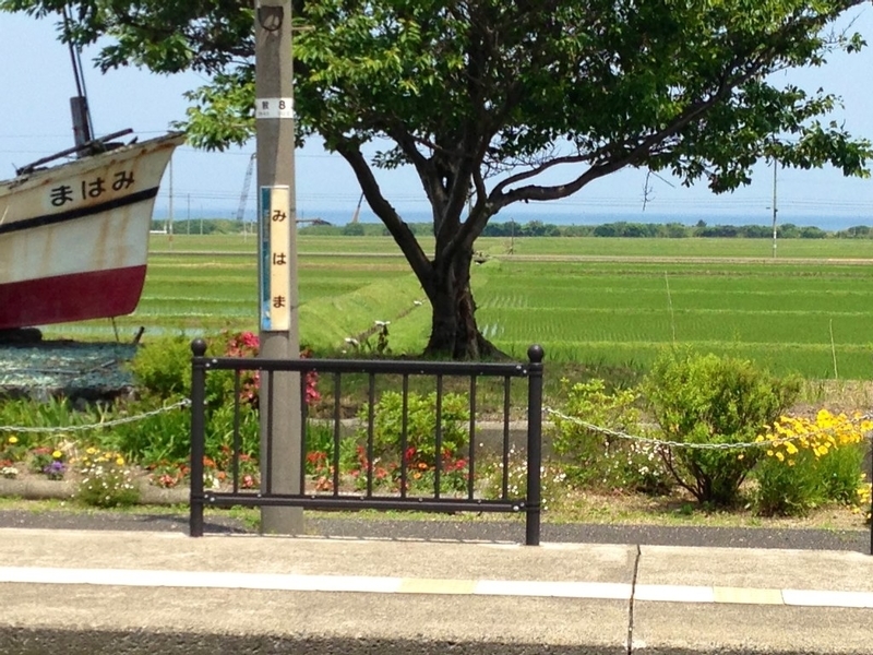 イメージ 3