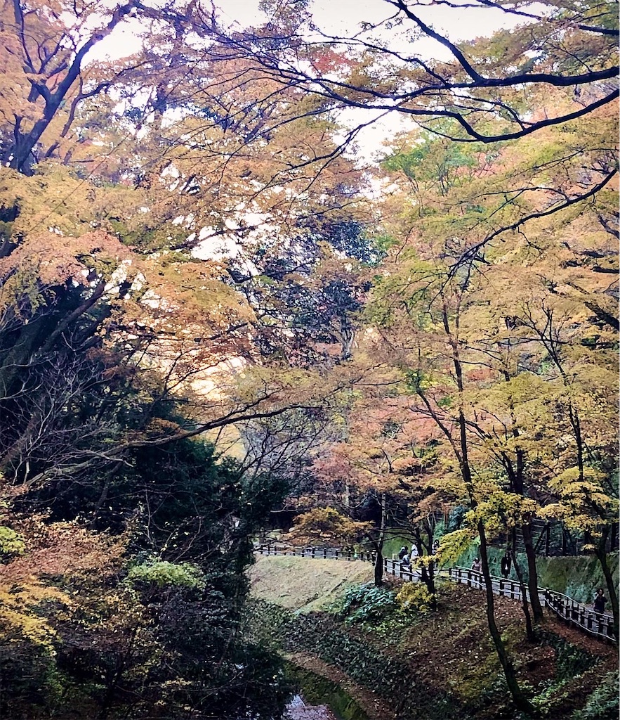 f:id:hisa69740:20191210221039j:image f:id:hisa69740:20191210221039j:image
