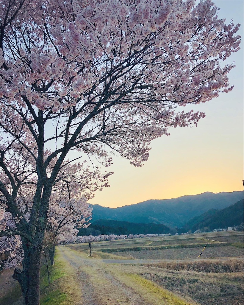 f:id:hisa69740:20200411130044j:image