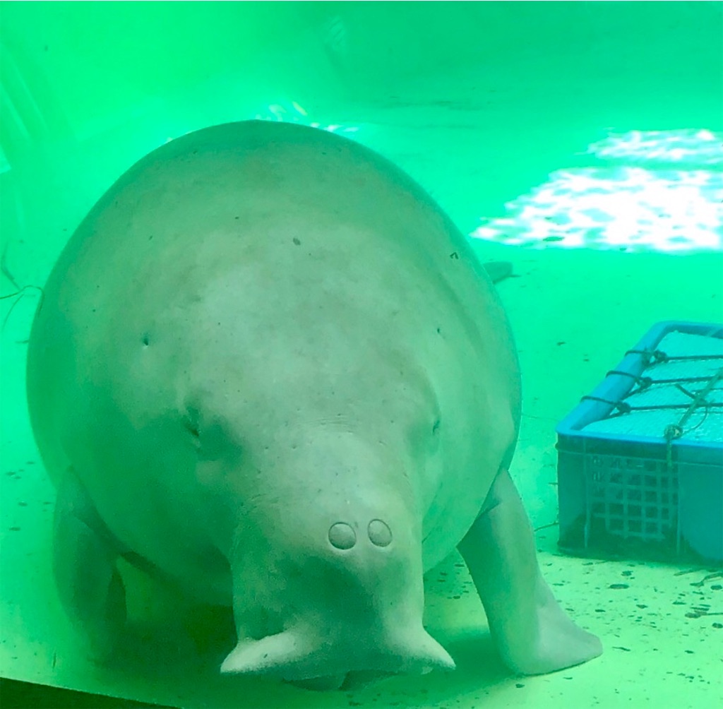 f:id:hisa69740:20200628161525j:image