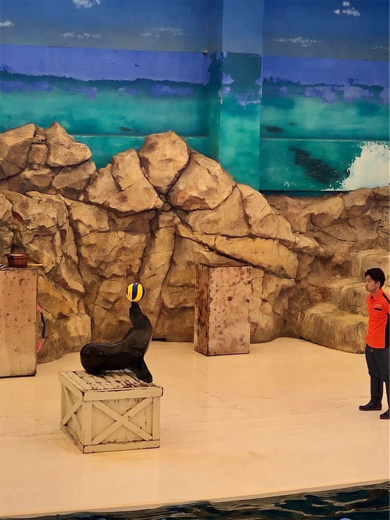 f:id:hisa69740:20200628163058j:image