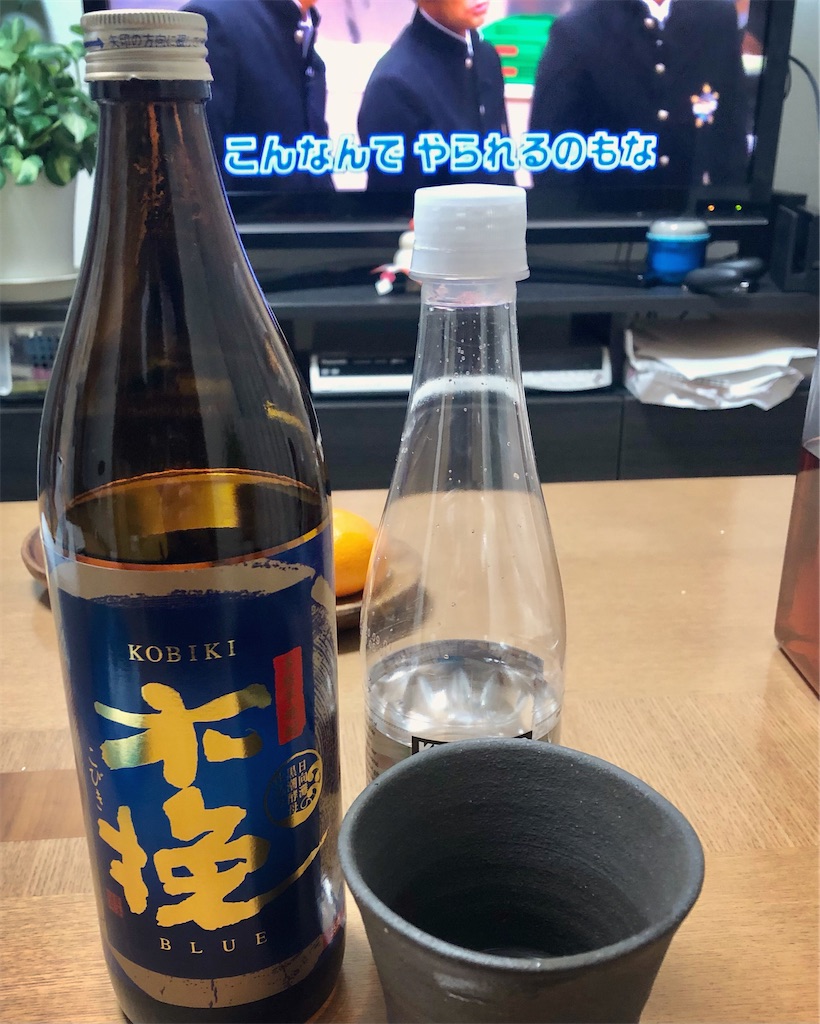f:id:hisa69740:20201231210037j:image