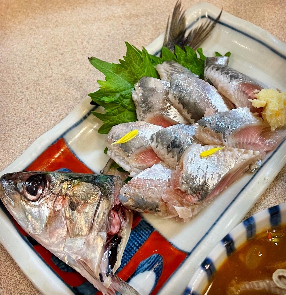 f:id:hisa69740:20220409120157j:image