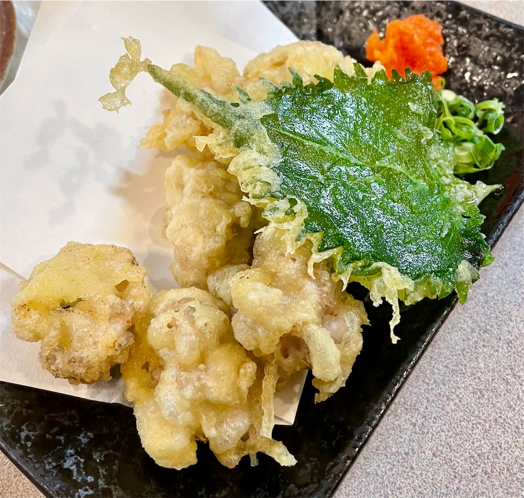 f:id:hisa69740:20230116071721j:image