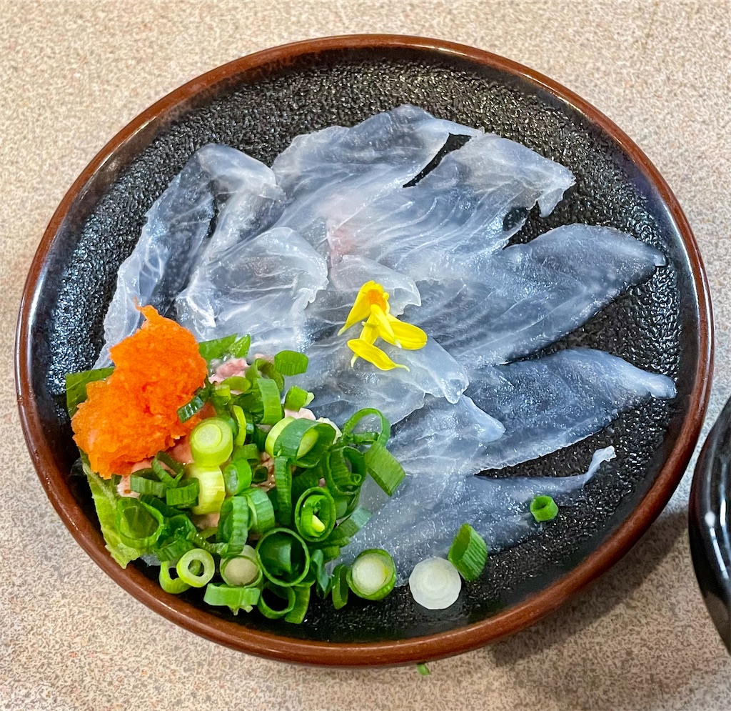 f:id:hisa69740:20230116210431j:image