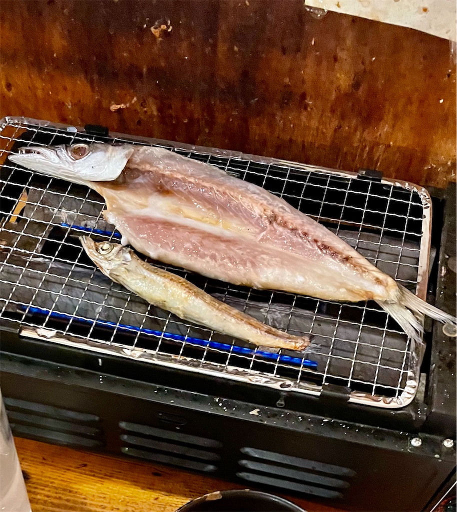 f:id:hisa69740:20230513085808j:image